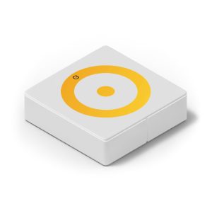 Zon_Acc2_Brain-300x281